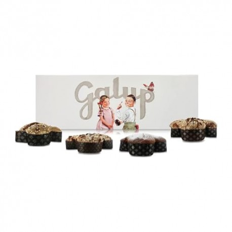 Galup Confezione Assaggio 4 Mini-Colombe: Colombina Tradizionale / Cioccolato / Mela / Paradiso, 100g l'Una