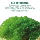 Colours Of Life Bio Spirulina Integratore Alimentare 180 Compresse 