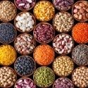 PULSES AND SOUPS